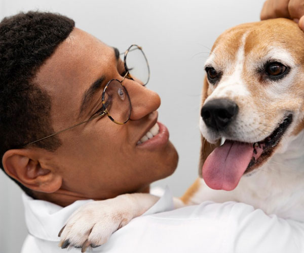 pet Insurance