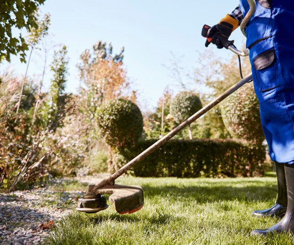 LandscapingInsurance